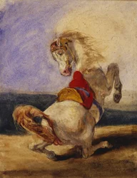 Rearing Horse