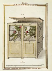 Chest for plant transport, watercolour by Delahaye
