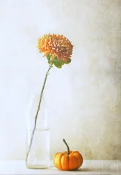 Autumn Mum and Pumpkin