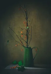 Dark Botanical Still Life