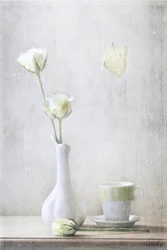 Delicate Roses and Butterfly