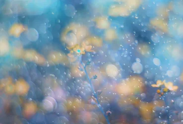 Dreamy Blue Floral Sparkle