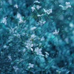 Dreamy Blue Garden Flowers