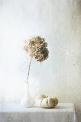 Dried Hydrangea Pumpkin Still Life