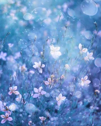 Ethereal Blue Blooms