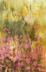 Golden Meadow Butterflies