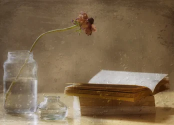 Melancholy Bloom and Book