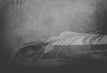Monochrome Feather Eye