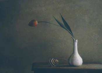 Moody Tulip Still Life