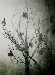 Mysterious Tree of Time
