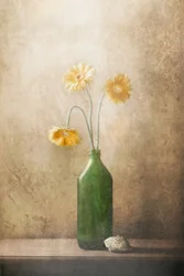 Quiet Yellow Flowers