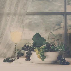 Rustic Grapes and Wine