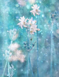 Sparkling Blue Flowers