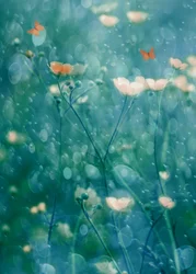 Vibrant Garden Butterflies