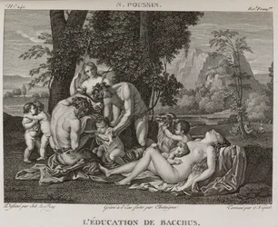 The Education of Bacchus