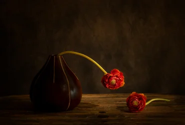 Moody Ranunculus Still Life