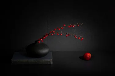 Red Berries Black Vase Still Life