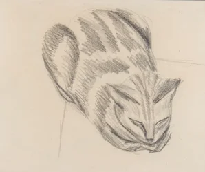 Sleeping Cat