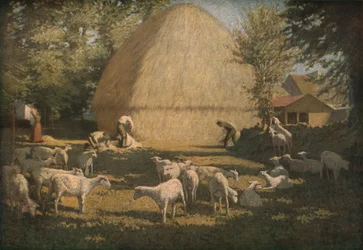 Sheep Shearing