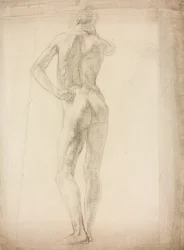 A Study of a Male Figure