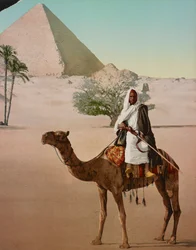 Bedouin on a Camel and the Great Pyramid, Cairo, Egypt