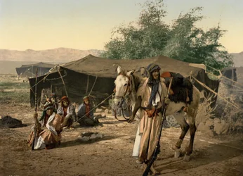Bedouins and their Tents, Holy Land