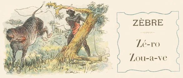 Z: Zebra, Zero, Zouave