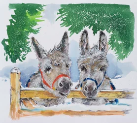 Friends in the Field