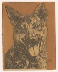 Dog Cees