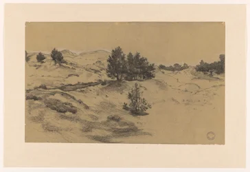 Dune Landscape