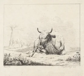 Lying Cow