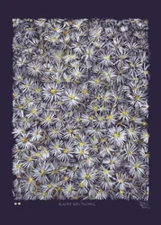Someone Said Flowers, 2022