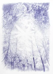Backlight, 2024