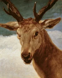 Head of a Stag