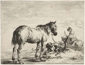 Horse Bound to a Post