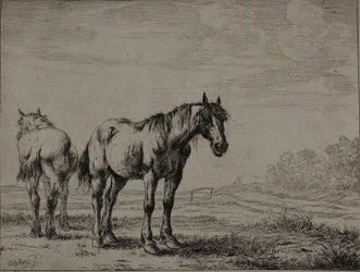 Two Plough Horses, Plate Seven from Series of Horses