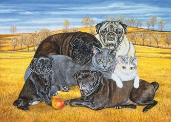 Hocking County Pug-Cats