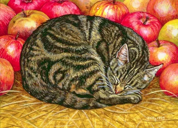 Left-Hand Apple-Cat