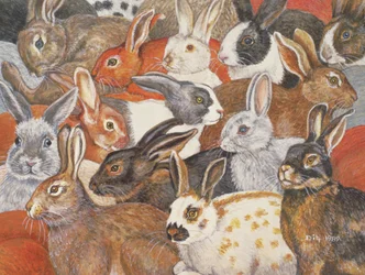 Rabbit-Spread