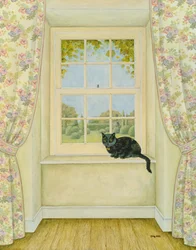 The Window Cat