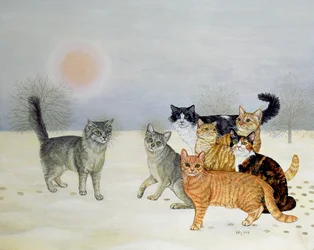 Winter Cats