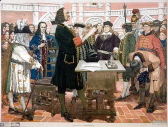 Presentation of Novices