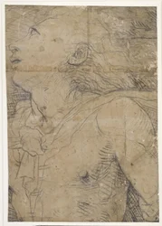 Upward Looking Youth, (Half Figure), Fragment of a Cartoon?