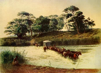 Bullock Wagon Crossing a Drift on the Umbelois River, Swaziland, 1902