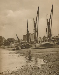 Barges Aground At Mortlake With The Tide at Full Ebb