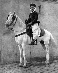 Berber horseman of the French Army