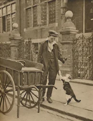 One of the Best-Established Trades: A Customer and the Cats-Meat Man