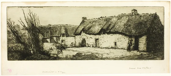 Farm with Cows