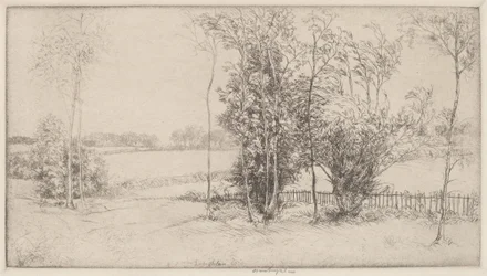 Sussex Landscape