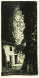 The Haunted House